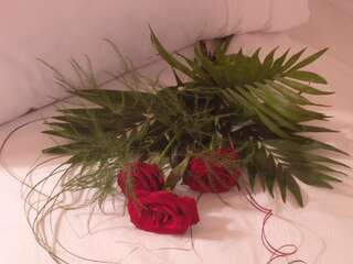 Отель Hotel Garden Club Брашов Стандартный двухместный номер с 1 кроватью или 2 отдельными кроватями-7