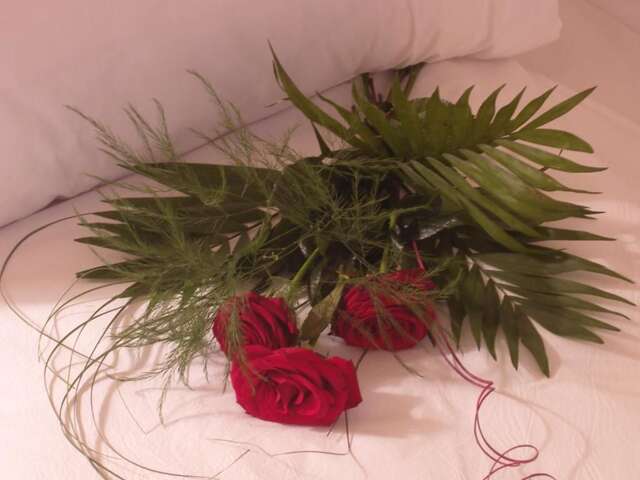 Отель Hotel Garden Club Брашов-52